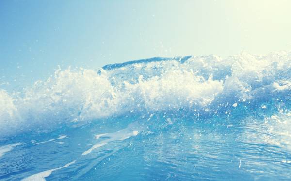 Only Widescreen Wallpapers (Cwer.Ru)