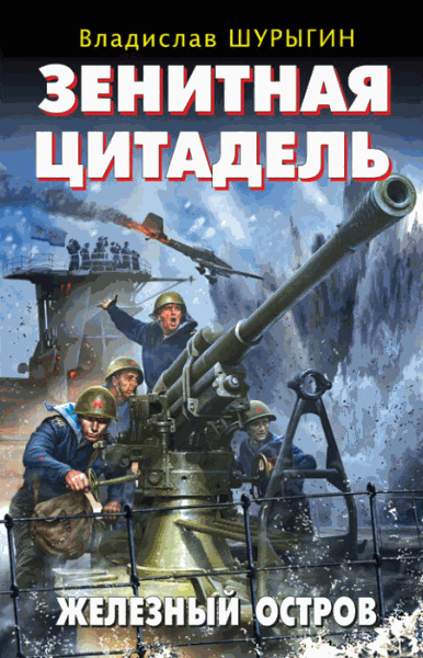Владислав Шурыгин. Зенитная цитадель.