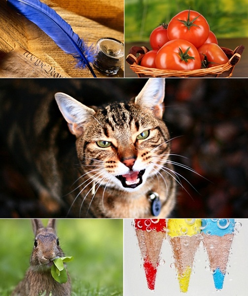Best HD Wallpapers Pack