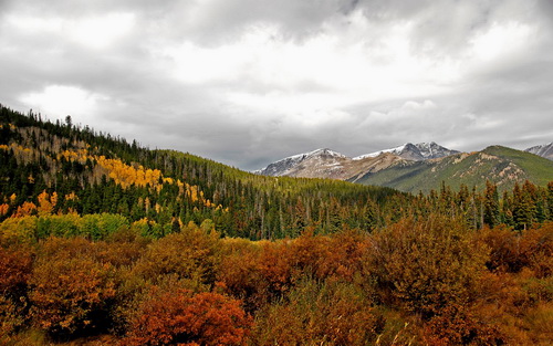 Wonderful Nature Wide Screen Wallpapers