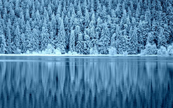 Best Mixed Wallpapers Pack #397-398