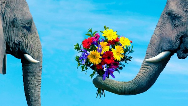 Best Mixed Wallpapers Pack #333-334