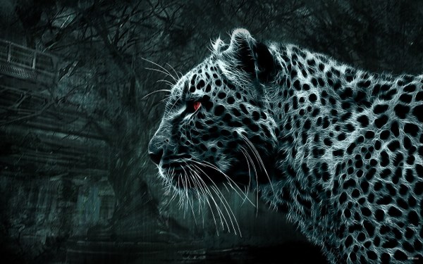 Best Mixed Wallpapers Pack #335-336