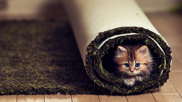 New Mixed HD Wallpapers Pack 100