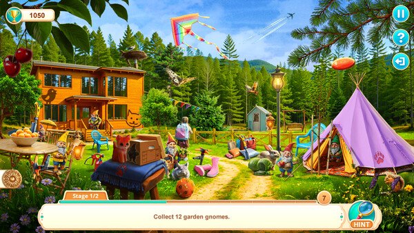 Home for Friends 2: Loving Paws Collector's Edition